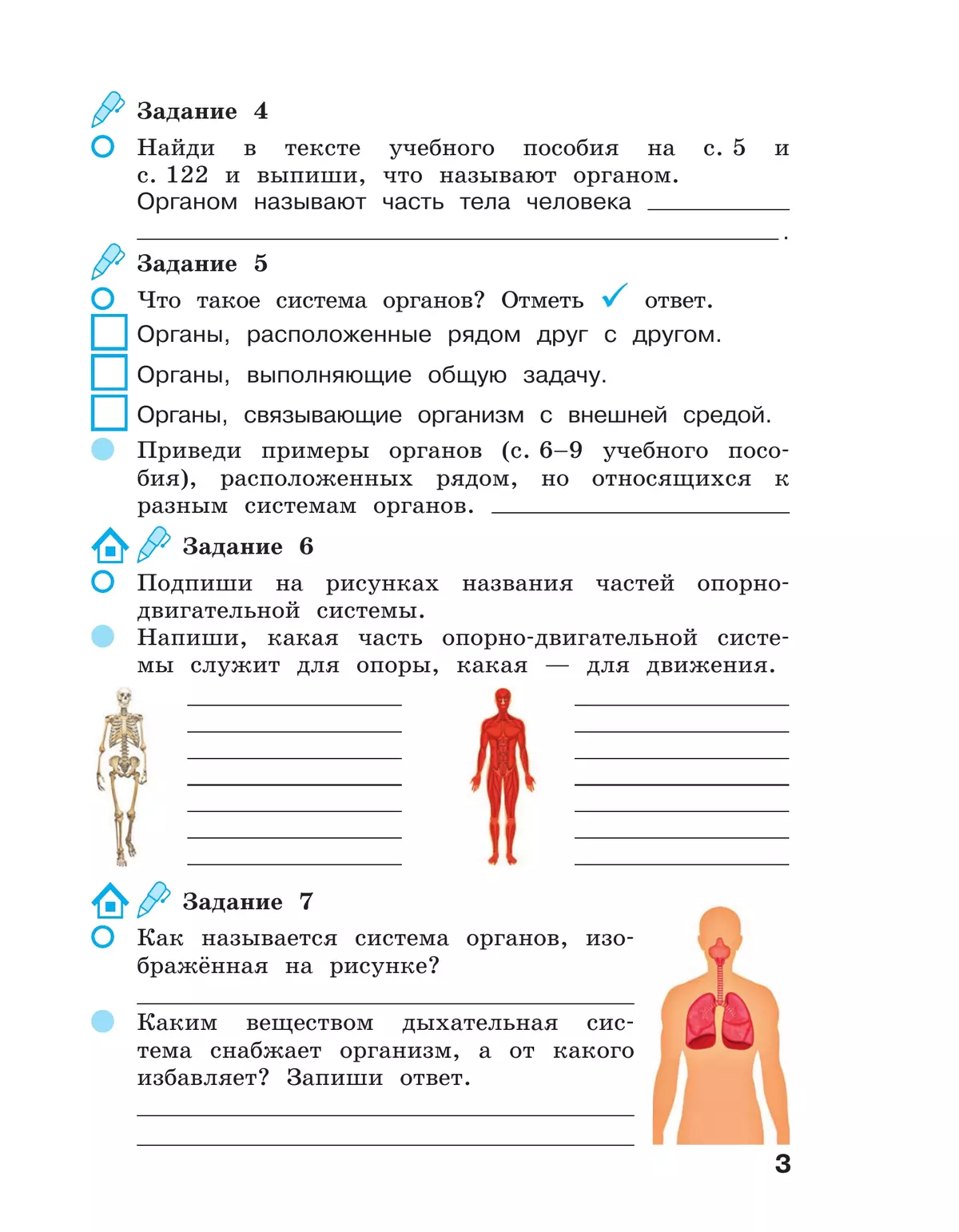 Окружающий мир. 3 класс Рабочая тетрадь в 2-х частях. Ч. 2 36
