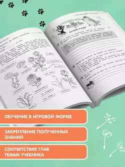 Французский язык. Летние задания для младших школьников 10