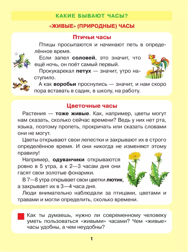 Который час? Математика для детей 5-7 лет 18