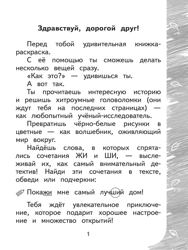 Раскрашиваю и учусь! Пушистик и лесные жители 7+ 30 Раскрашиваю и учусь! Пушистик и лесные жители 7+ 30