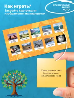 Природа и человек. Настольная игра 17