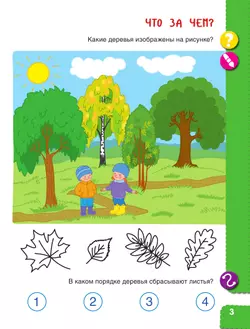 Первооткрыватели. Ребенок и окружающий мир. Альбом наблюдений. 6–7 лет 19