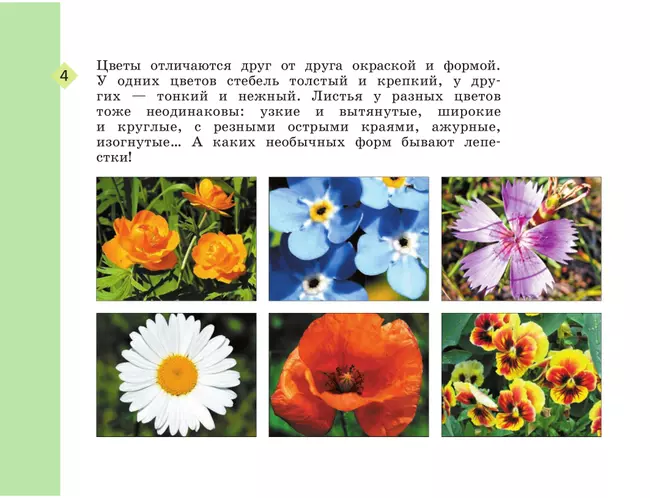 Изобразительное искусство. Рабочая тетрадь. 2 класс 21 Изобразительное искусство. Рабочая тетрадь. 2 класс 21