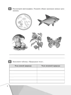 Биология. Рабочая тетрадь. 5 класс. Базовый уровень 25