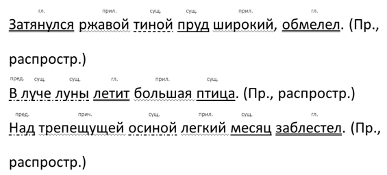 Научно-практический центр психофизиологии аномального развития / Санкт-Петербург