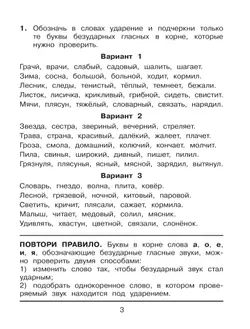 Безударные гласные, проверяемые ударением. Тренажёр по русскому языку для учащихся 2-4 классов. Полуянова О.Д., Полуянов С.А. 18