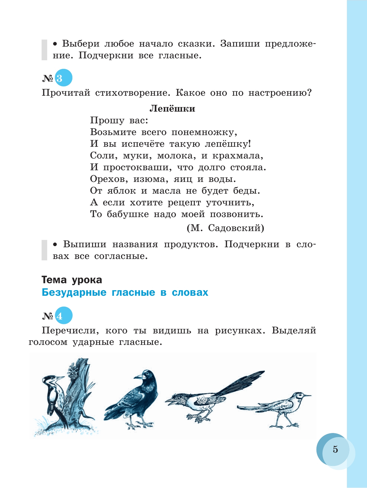 Русский язык. 6 класс. Учебник (для обучающихся с интеллектуальными нарушениями) 4