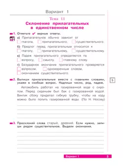 Русский язык. 4 класс. Что я знаю. Что умею. Тетрадь проверочных работ. В 2 частях. Часть 2 18