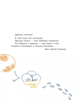 Сто слонов. Новые рассказы о Саньке 4