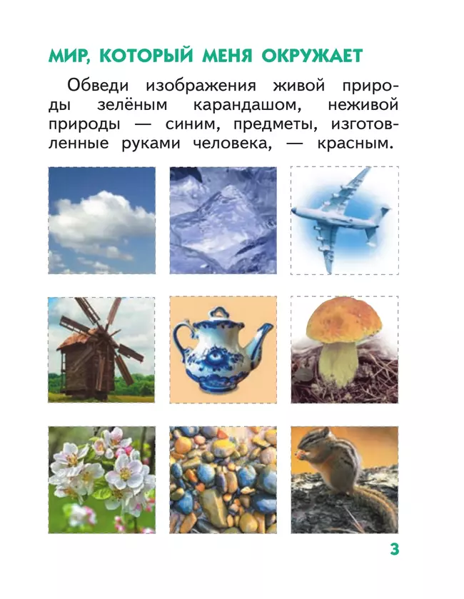 Окружающий мир. 1 класс. Рабочая тетрадь 18