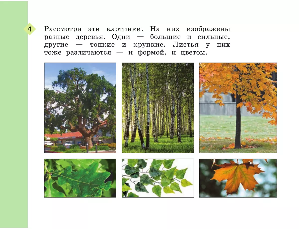 Изобразительное искусство. Рабочая тетрадь. 1 класс 7
