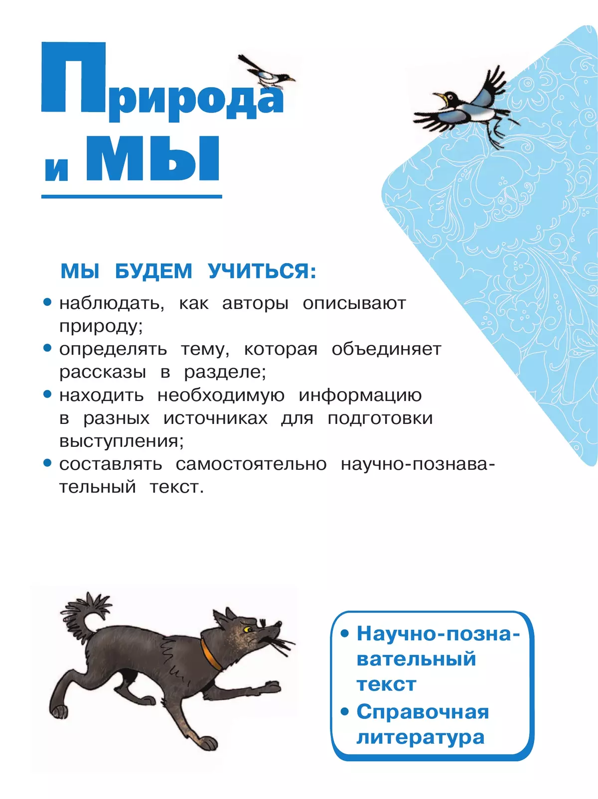 Литературное чтение. 4 класс. Учебное пособие. В 4 ч. Часть 4 (для слабовидящих обучающихся) 10