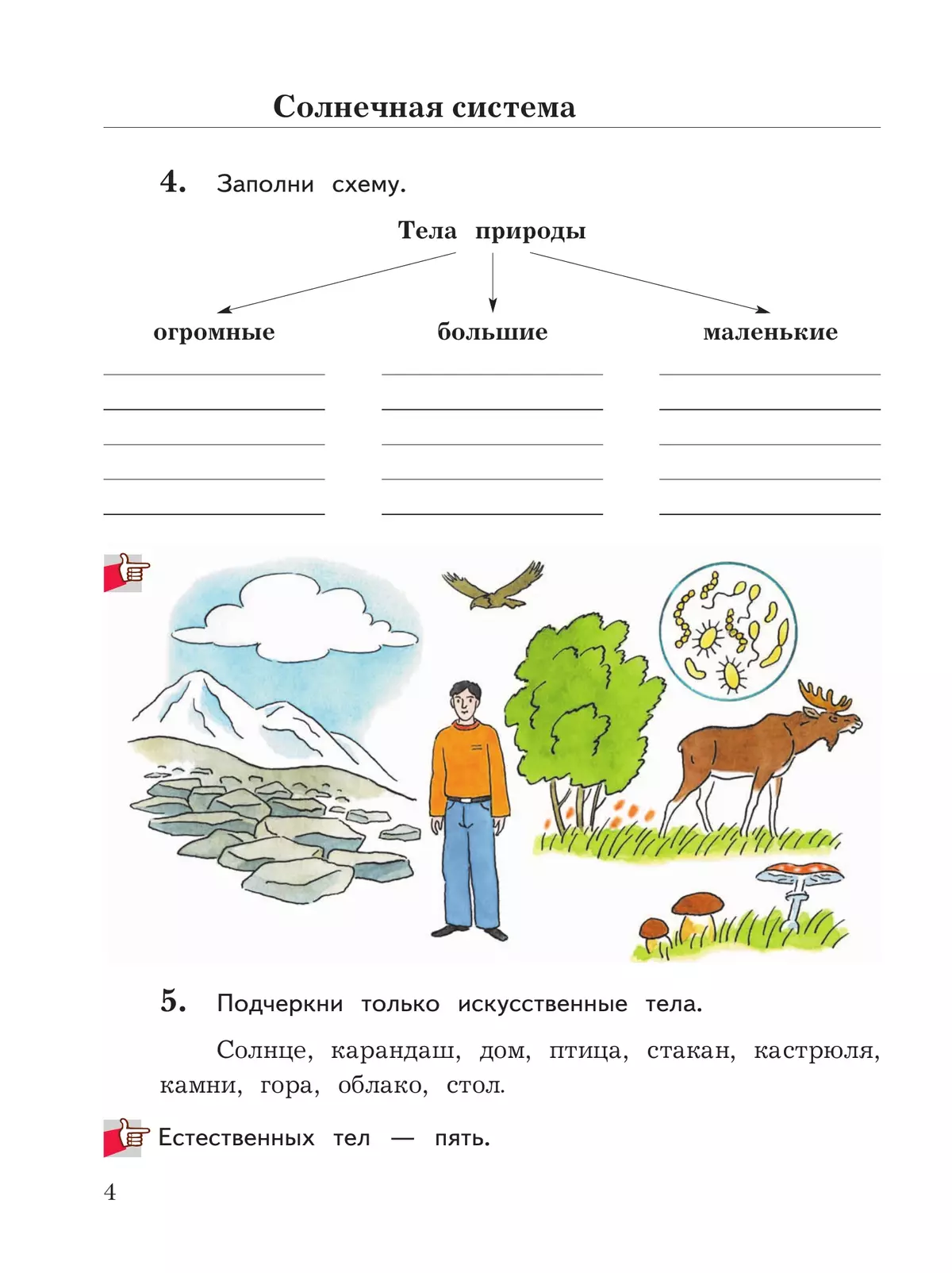 Окружающий мир. 3 класс. Рабочая тетрадь. В 2 частях. Часть 1 11