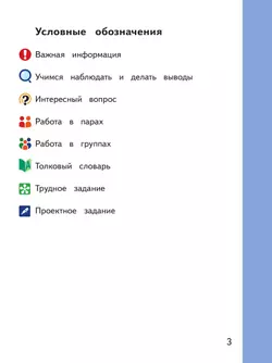 Русский родной язык. 4 класс. Учебное пособие. В 3 ч. Часть 3 (для слабовидящих обучающихся) 40