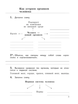 Окружающий мир. 3 класс. Рабочая тетрадь. В 2 частях. Часть 2 11
