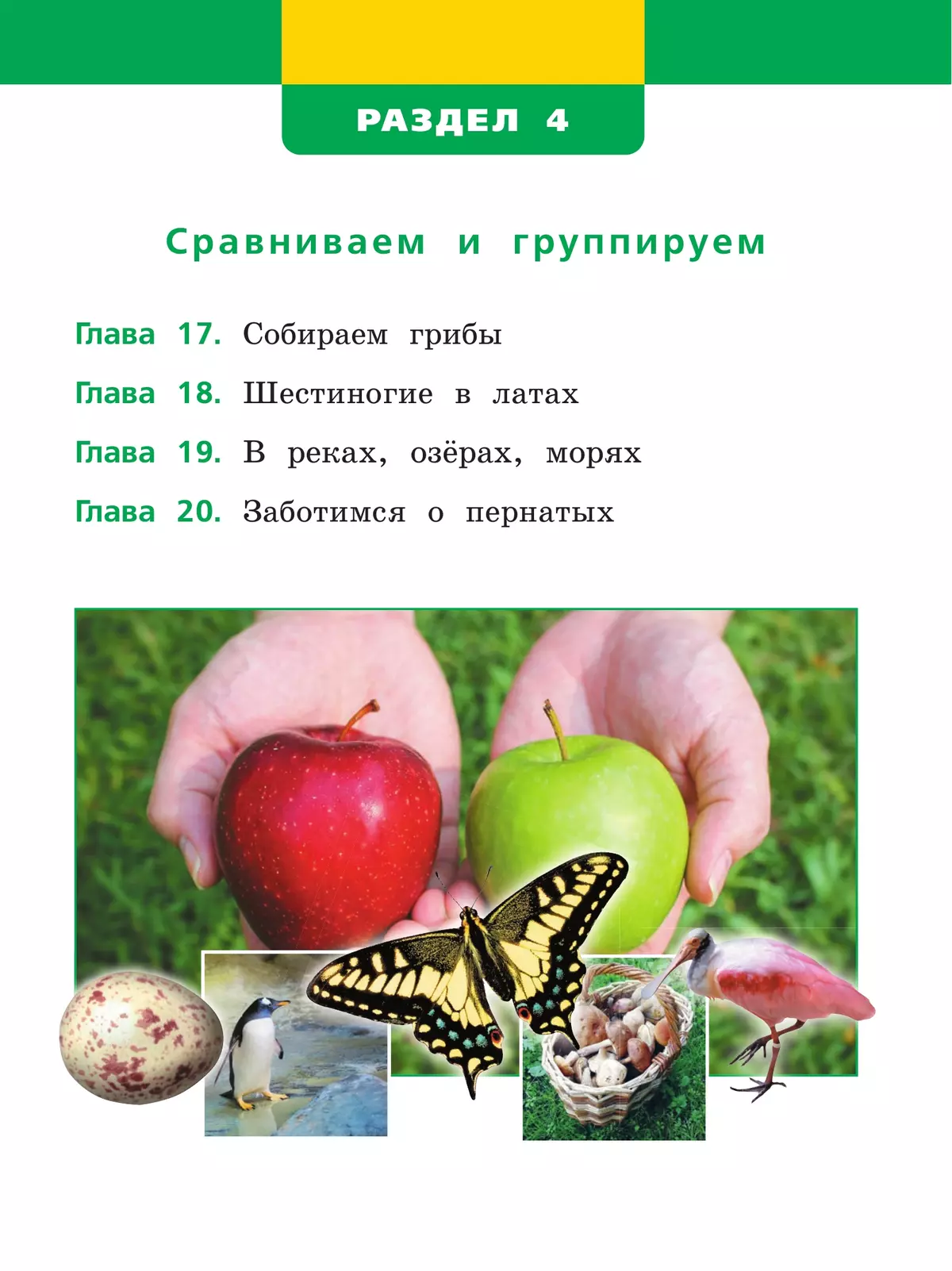 Окружающий мир. 1 класс. Учебное пособие. В двух частях. Часть 2 9