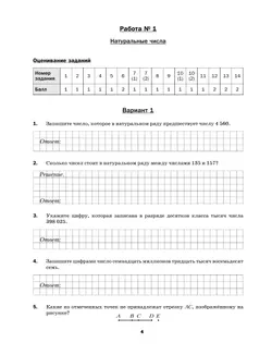 Математика. 5 класс. Подготовка к всероссийским проверочным работам (ВПР) 11