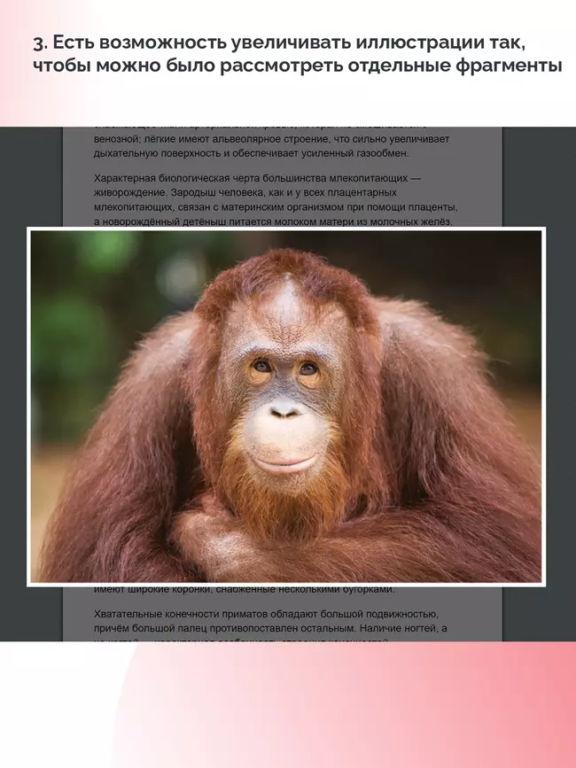 Биология. 9 класс. Базовый уровень (для обучающихся с нарушением зрения) 5 Биология. 9 класс. Базовый уровень (для обучающихся с нарушением зрения) 5