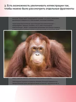 Биология. 9 класс. Базовый уровень (для обучающихся с нарушением зрения) 5