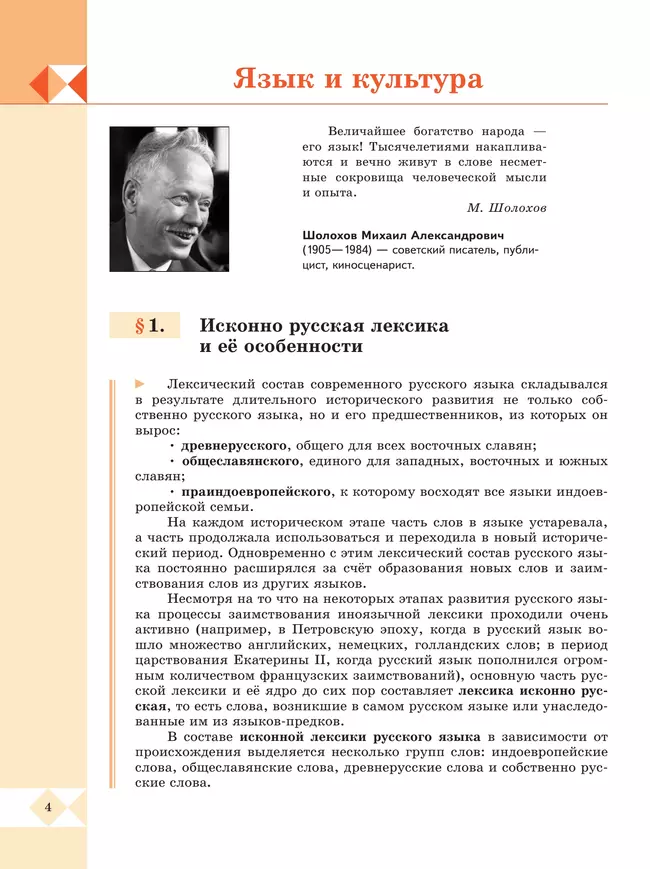 Русский родной язык. 8 класс. Учебник 9