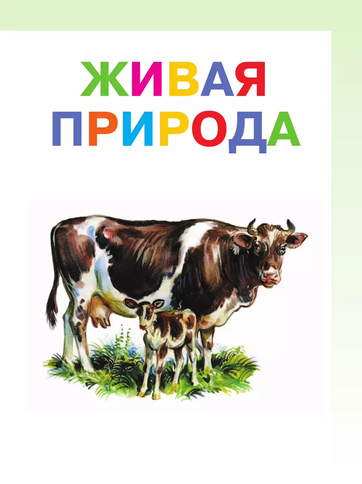 Мир природы и человека. 1 класс. Учебник. В 2 частях. Часть 2 (для обучающихся с интеллектуальными нарушениями) 45