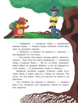 Бобрёнок Бом и Дальний лес 13