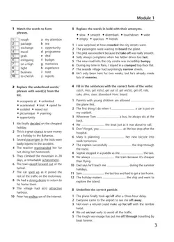 Английский язык. Лексический практикум. 10 класс 39