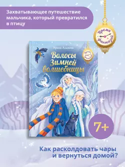 Волосы Зимней волшебницы 28