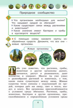 Окружающий мир. 3 класс. Учебное пособие. В 2 частях. Часть 2 6