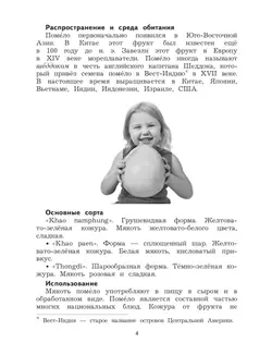 Комплексные проверочные работы. Работа с текстом и информацией. 4 класс 23