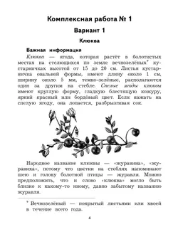 Комплексные проверочные работы. Работа с текстом и информацией. 2 класс 17