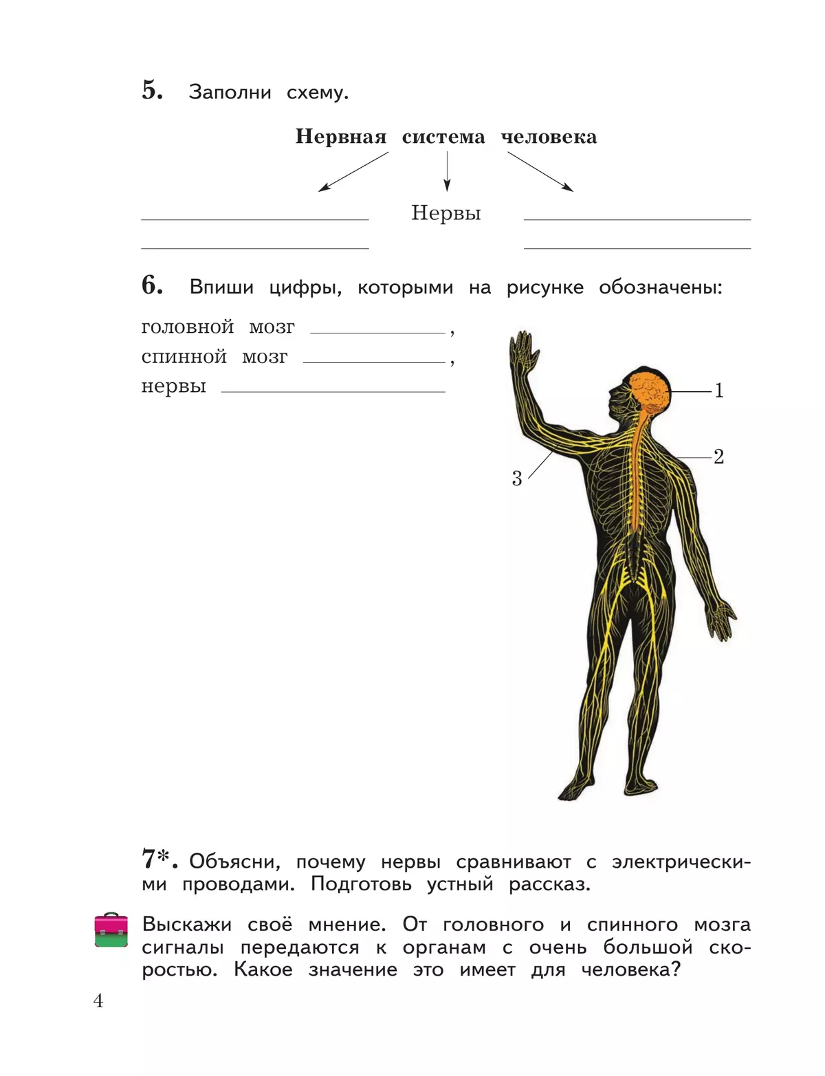 Окружающий мир. 4 класс. Рабочая тетрадь. В 2 частях. Часть 1 8