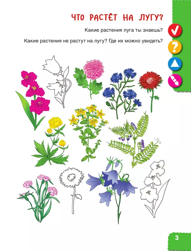 Удивительное рядом. Ребёнок и окружающий мир. Альбом наблюдений. 5-6 лет 9 Удивительное рядом. Ребёнок и окружающий мир. Альбом наблюдений. 5-6 лет 9