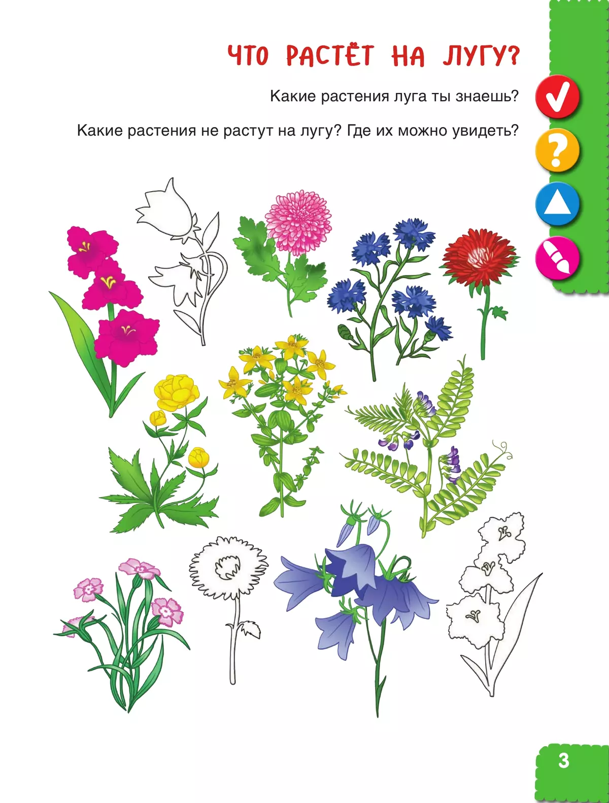 Удивительное рядом. Ребёнок и окружающий мир. Альбом наблюдений. 5-6 лет 9