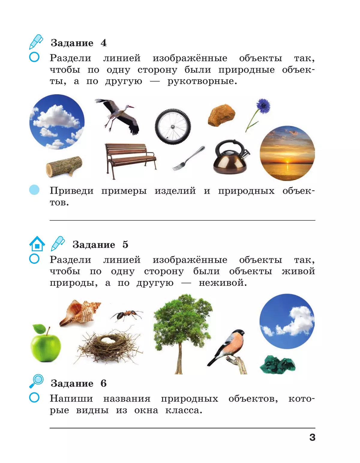 Окружающий мир. 2 класс. Рабочая тетрадь. В 2 частях. Часть 1 11