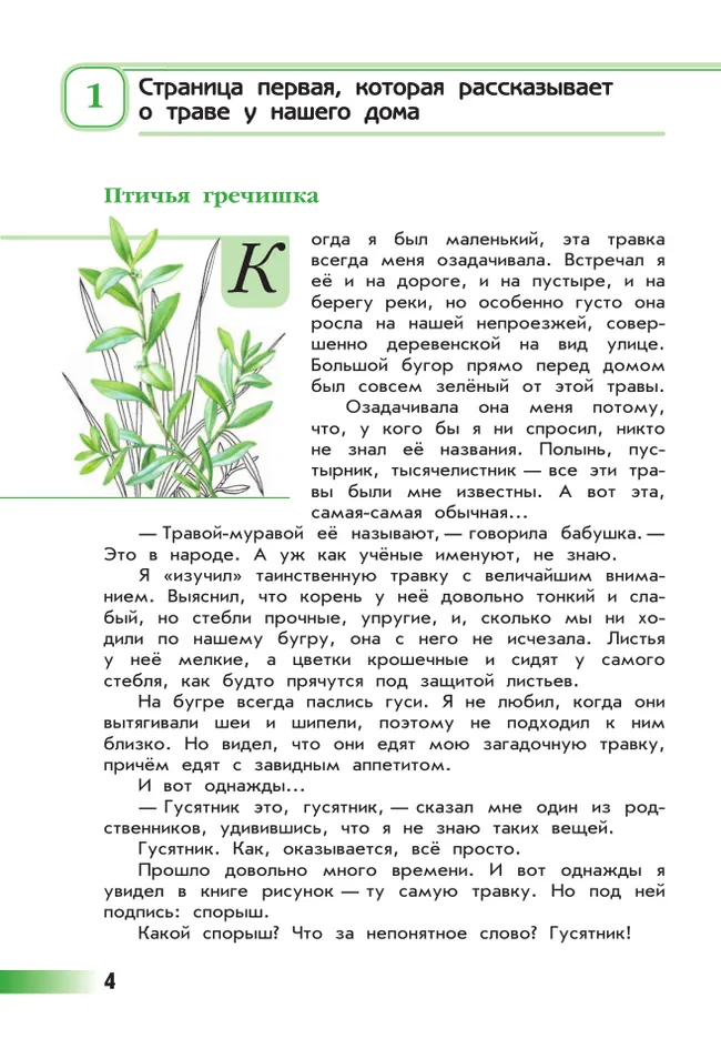 Зелёные страницы 5 Зелёные страницы 5