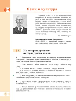 Русский родной язык. 6 класс. Учебник 45