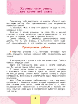 Литературное чтение. Рабочая тетрадь. 4 класс 13