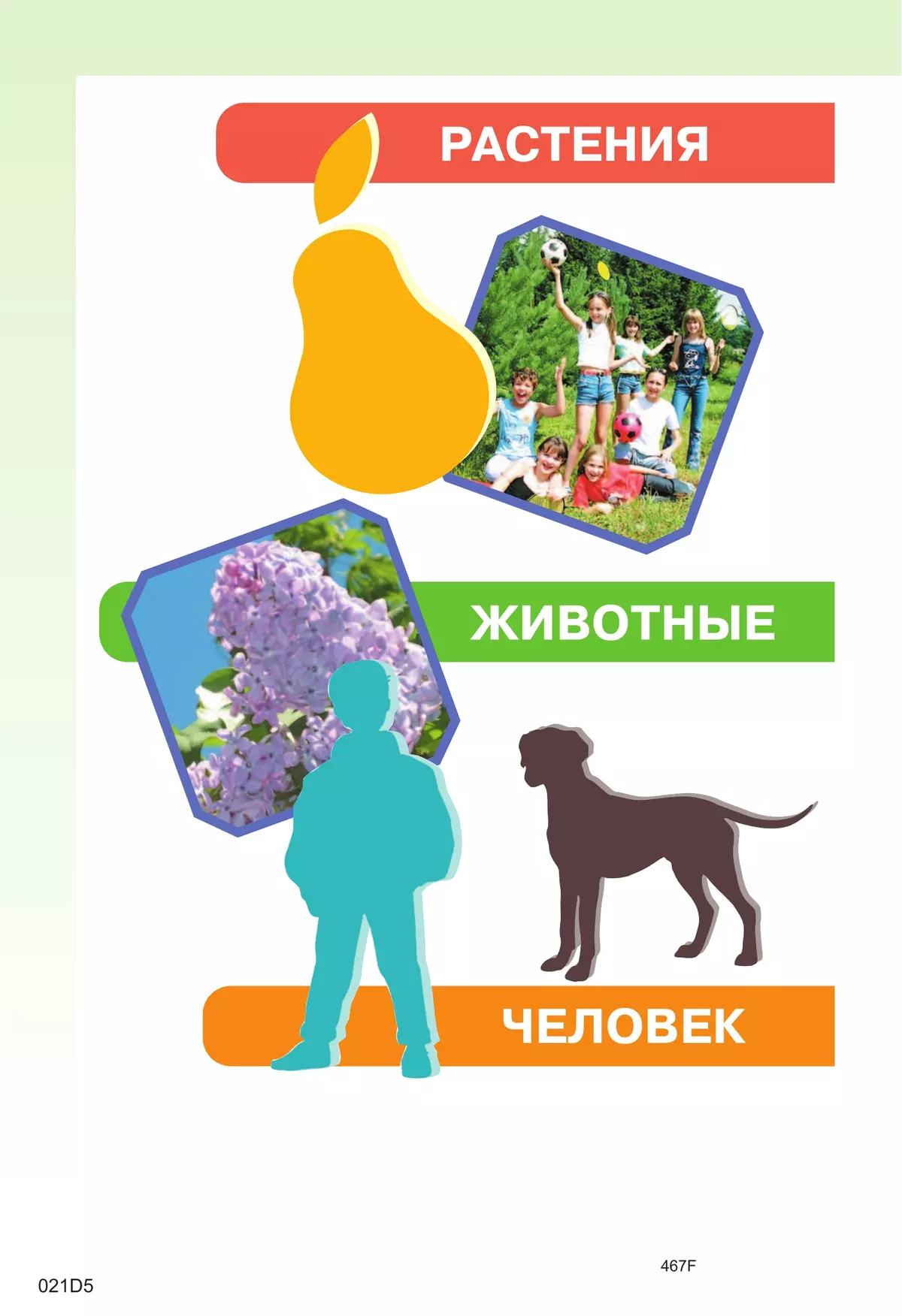 Мир природы и человека. 3 класс. Учебник. В 2 частях.Часть 2 (для обучающихся с интеллектуальными нарушениями) 11