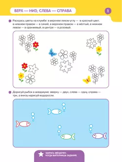 Знакомимся с клеткой 15