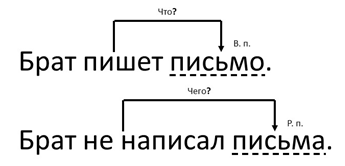 Вы точно человек?