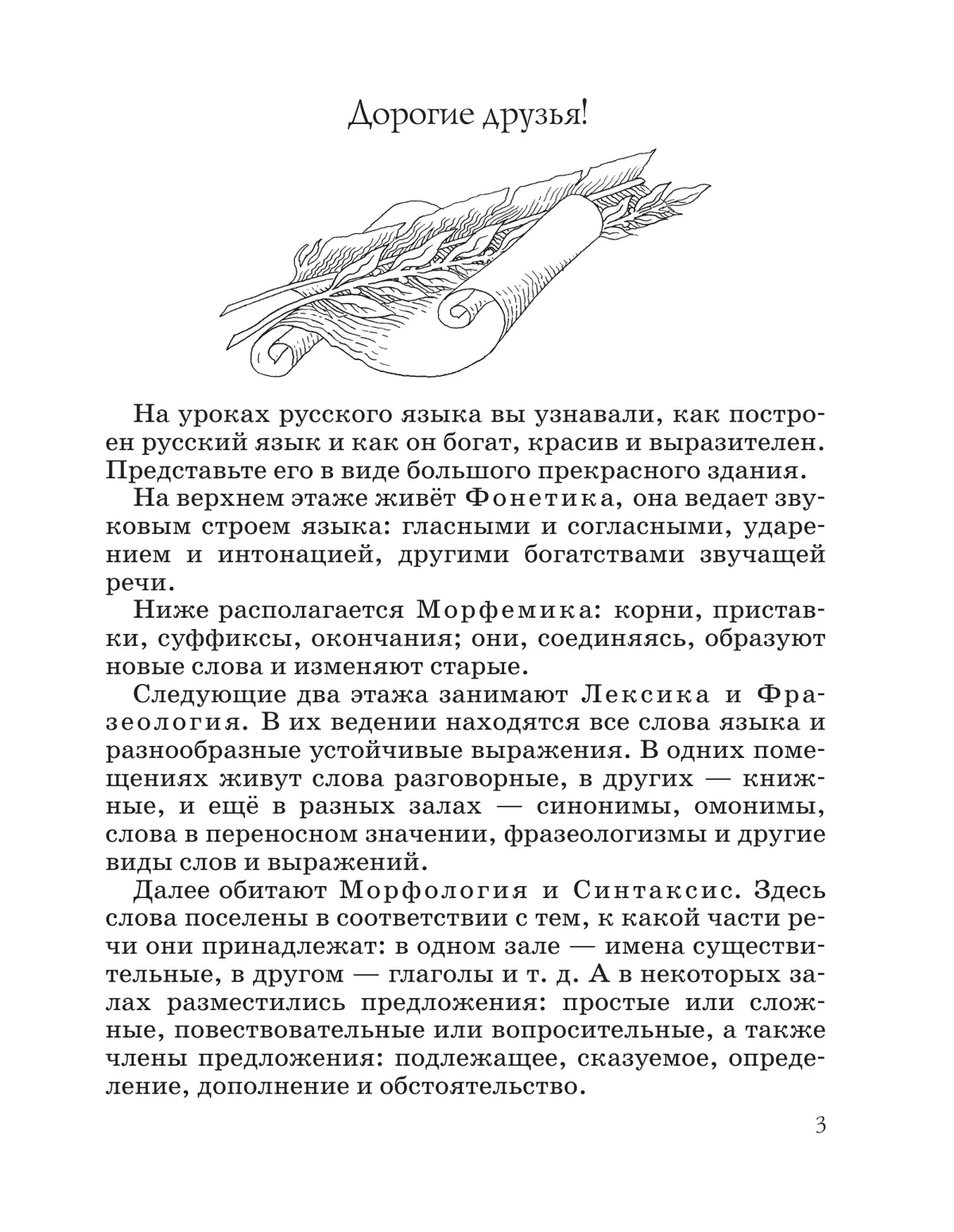 Русский язык. Русская словесность. 5 класс. Учебное пособие 13