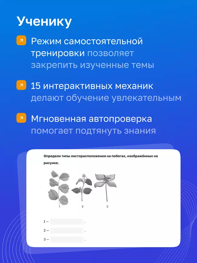 Биология. 6 класс. УМК «Линия жизни». Цифровая рабочая тетрадь 12 Биология. 6 класс. УМК «Линия жизни». Цифровая рабочая тетрадь 12