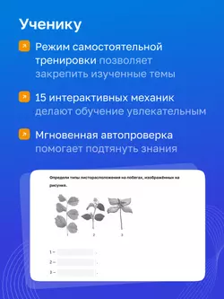 Биология. 6 класс. УМК «Линия жизни». Цифровая рабочая тетрадь 12