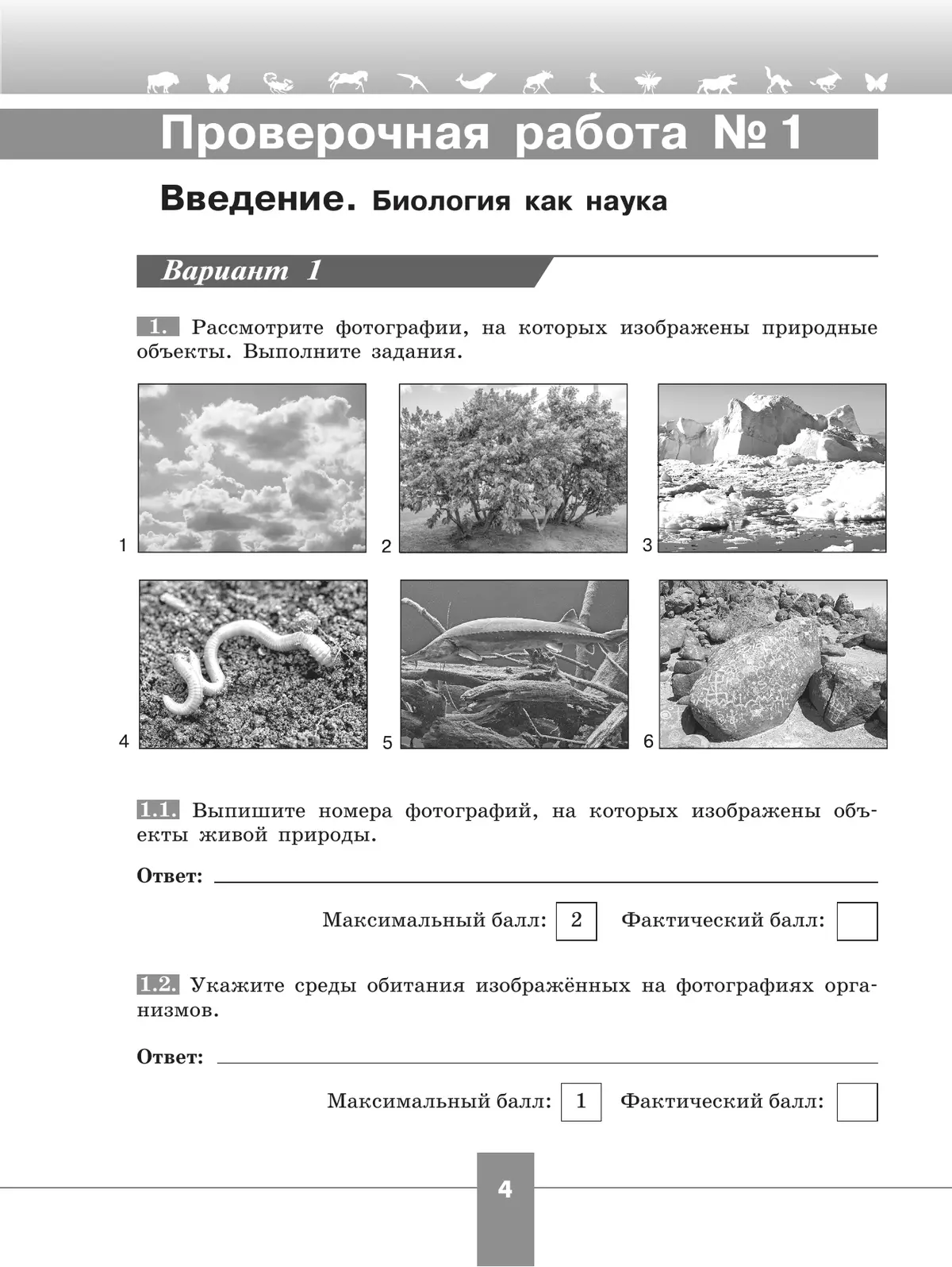 Биология. Проверочные работы в формате ВПР. 5 класс 33
