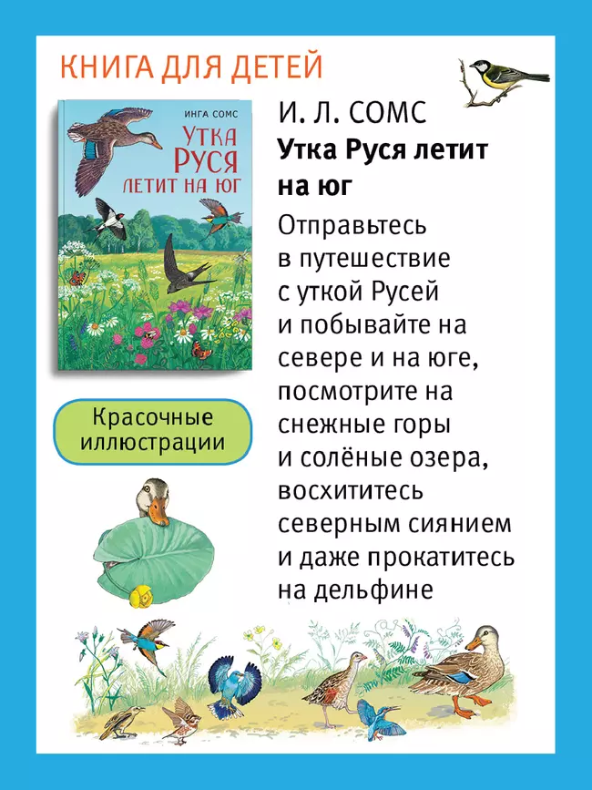 Путешествие по России утки Руси. Настольная игра 18