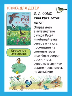 Путешествие по России утки Руси. Настольная игра 18
