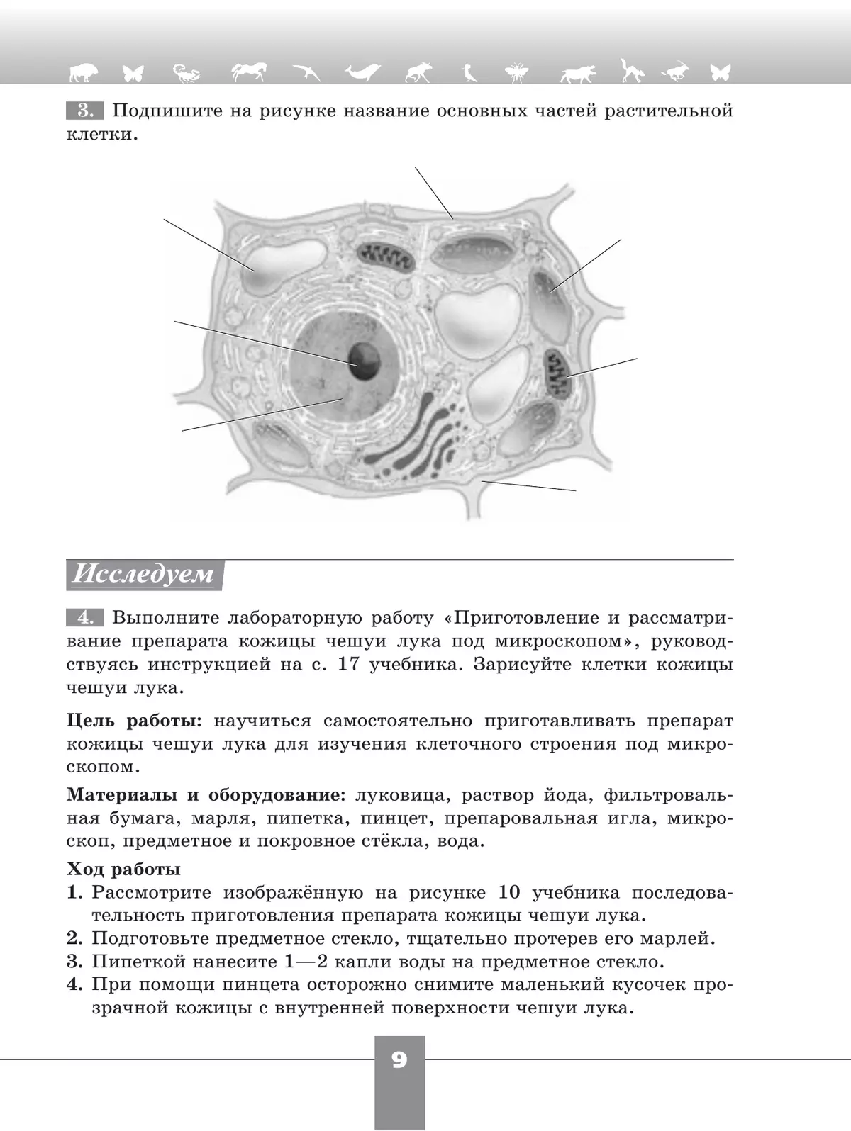 Биология. Рабочая тетрадь. 6 класс. Базовый уровень 3