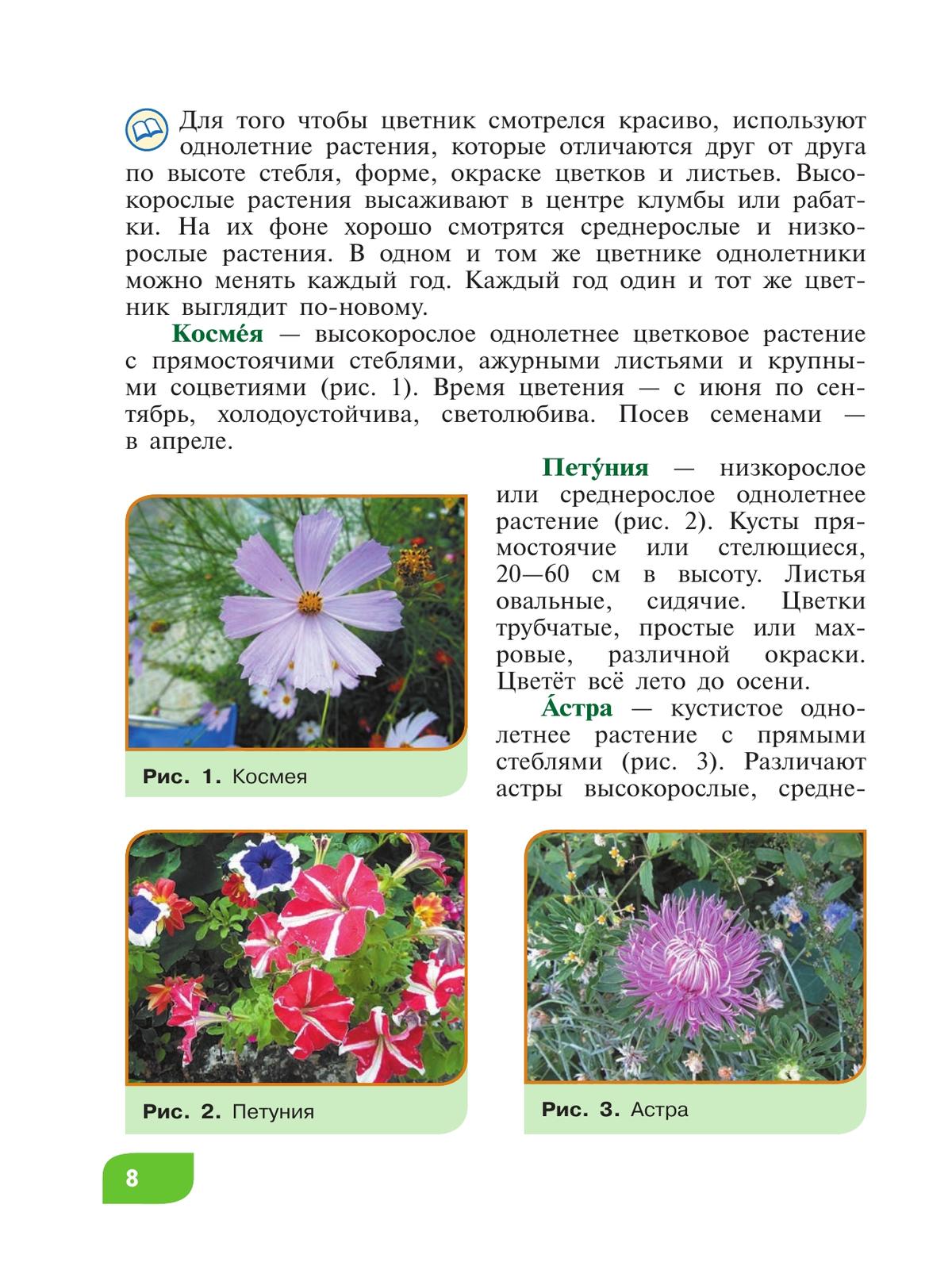 Технология. Цветоводство и декоративное садоводство. 6 класс. Учебник (для обучающихся с интеллектуальными нарушениями) 8