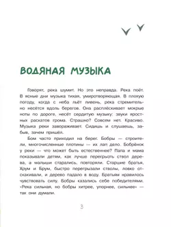 Бобрёнок Бом и скрипка филина 23